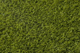 Ambient image 3
