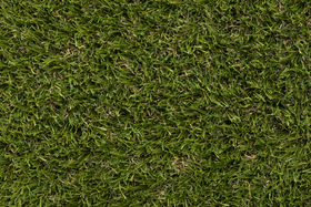 Ambient image 3