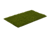Play 24 Olive Green 24/19